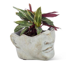 Load image into Gallery viewer, Large Tilted Face Planter