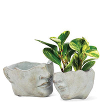 Load image into Gallery viewer, Large Tilted Face Planter
