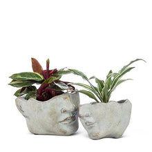 Load image into Gallery viewer, Large Tilted Face Planter