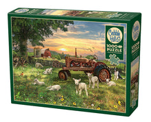 Load image into Gallery viewer, Field at Sunrise | 1000 Piece