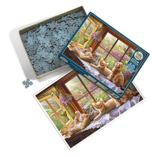 Load image into Gallery viewer, Sunbeam | 500 Piece
