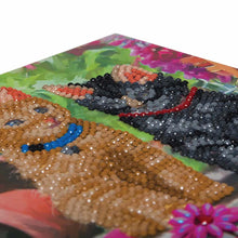 Load image into Gallery viewer, CA Card Kit: Cat Friends