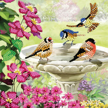 Load image into Gallery viewer, CA Card Kit: Birds