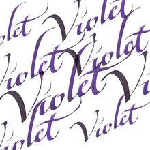 Load image into Gallery viewer, W&N Calligraphy Inks