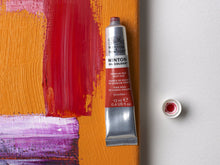 Load image into Gallery viewer, W&N - Winton Oil Colour 200ml Paints