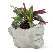 Load image into Gallery viewer, Large Tilted Face Planter
