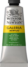 Load image into Gallery viewer, W&amp;N - Galeria Acrylic 60ml Paints
